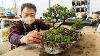 Tokoname ware Tousuibachi Vintage 1970 production Small bonsai pot Genuine 0001